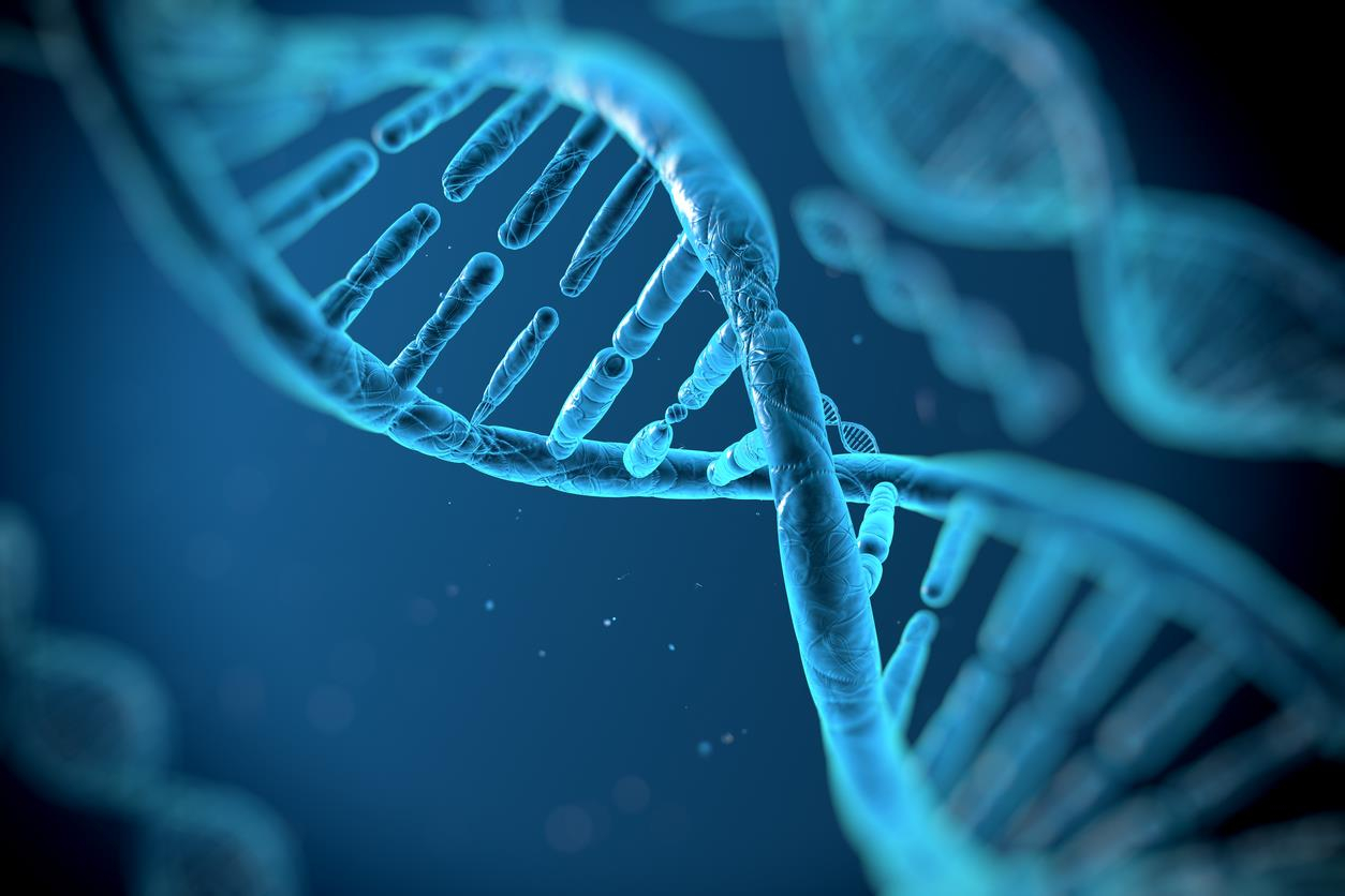 Science Discovers How Life Experience Rewrites Our Genetic Code