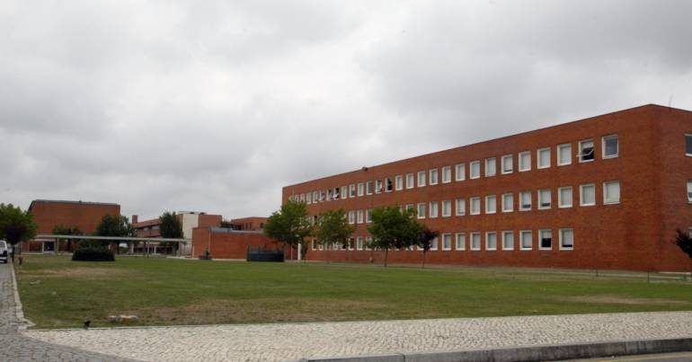Aveiro cria hidrogéis 100% biológicos para regenerar tecidos