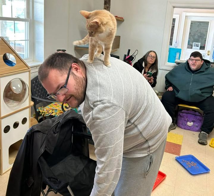 Rumford group shows care for animals with cat blankets and love