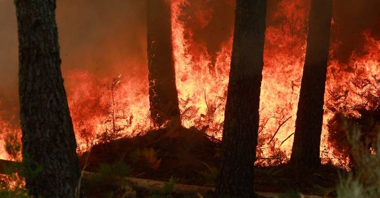 Incêndio na Serra do Caramulo já está em resolução