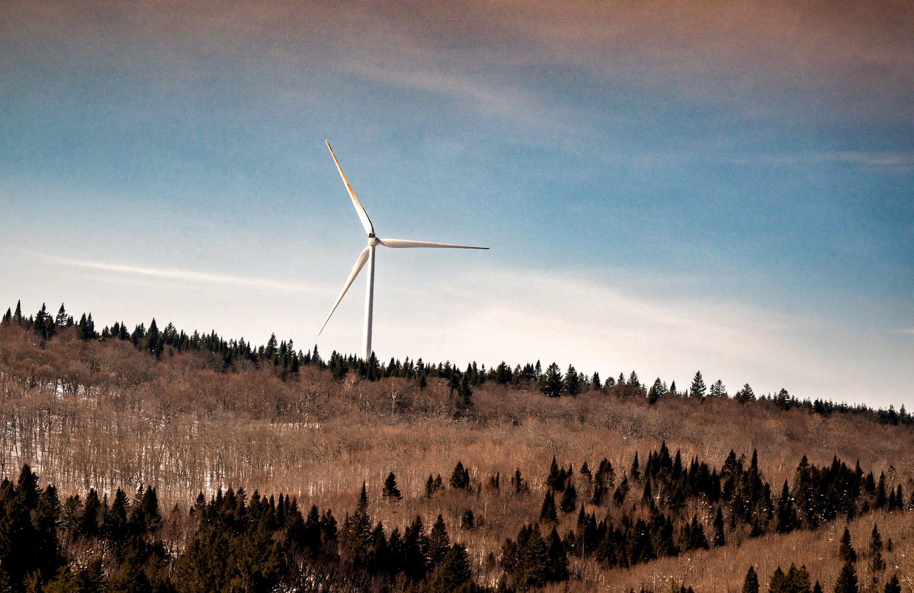 Projet Mauricie: un rappel à la réalité