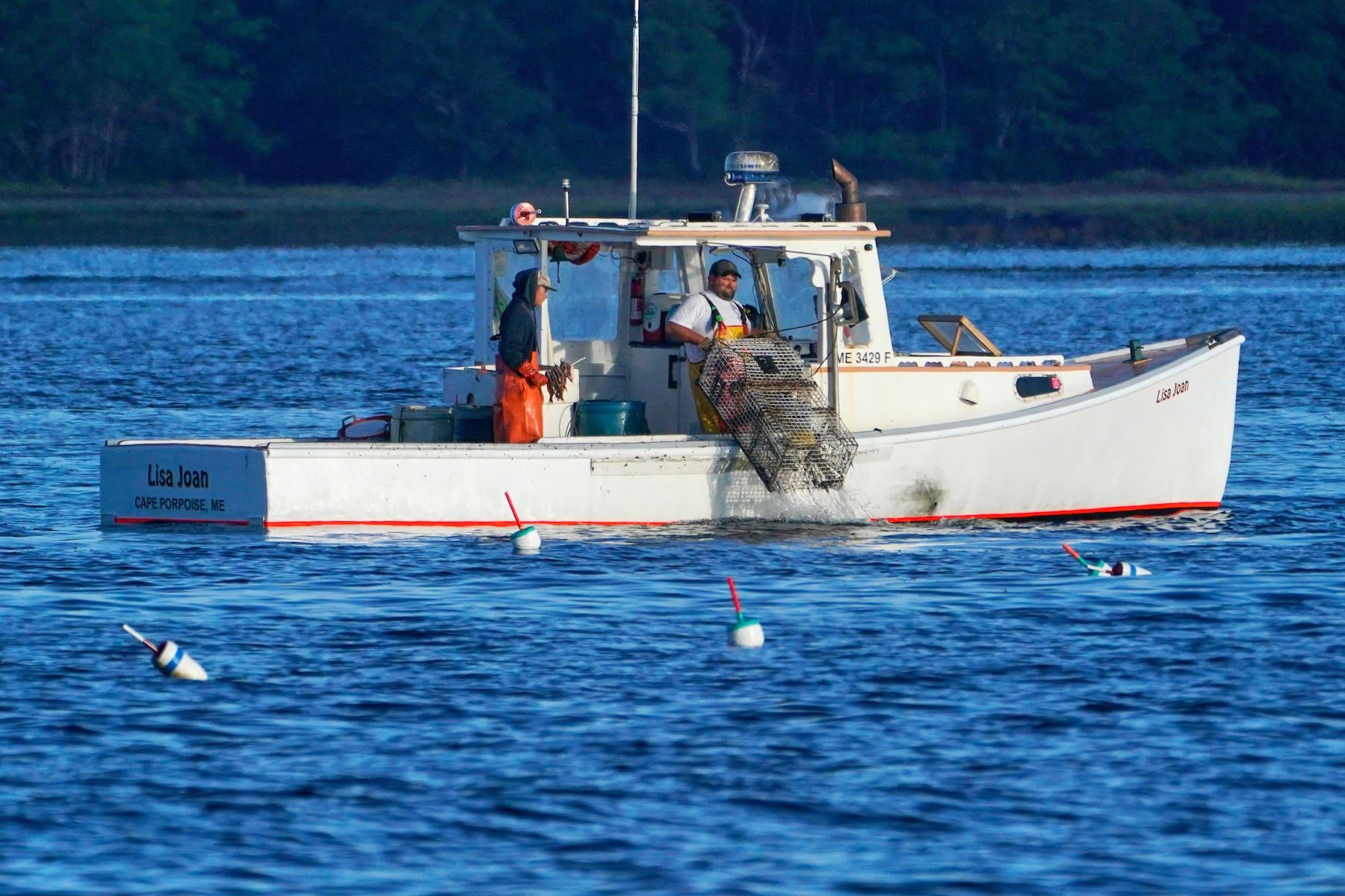 Complex seafood sustainability rules leave consumers adrift