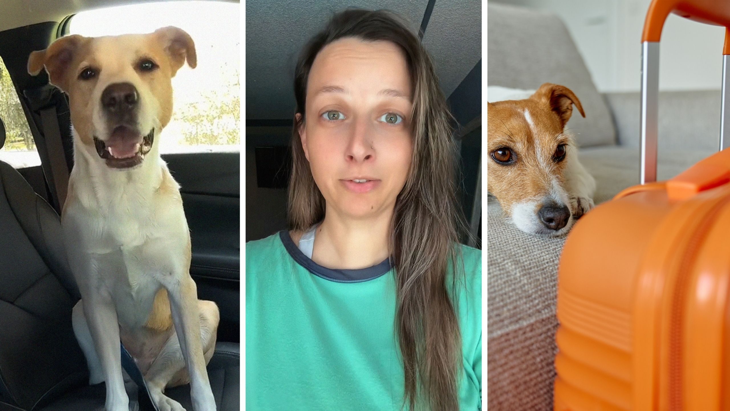 Florida Woman Checks Her Dog Into Pet Hotel. Then She Never Shows Up For Pickup—And The Workers Learn The Shocking Reason Why: ‘Who Does That?’