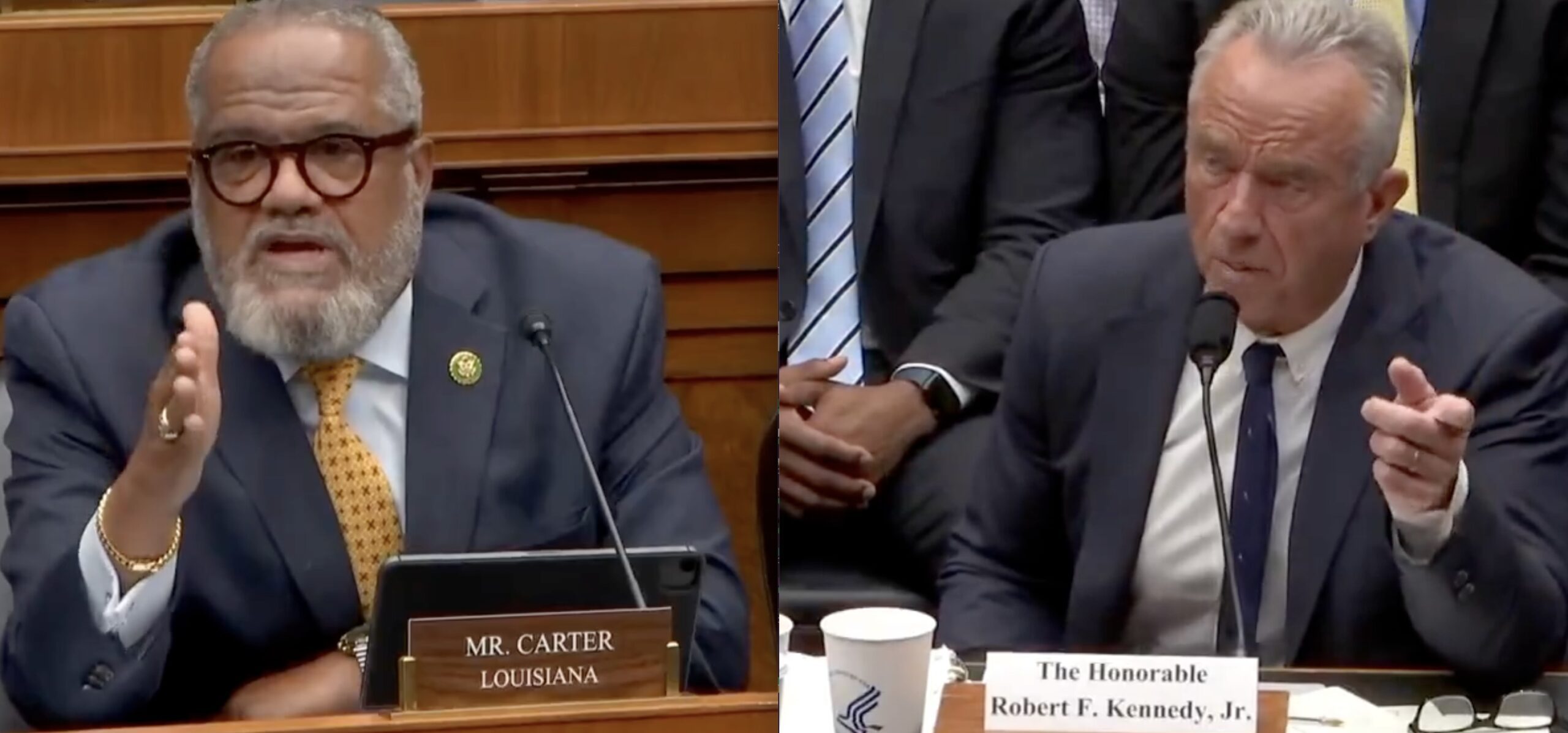House Dem Hammers RFK Jr. Over Wild News Stories: Less Focus On ‘Bear Heads and Raccoon Parts!’
