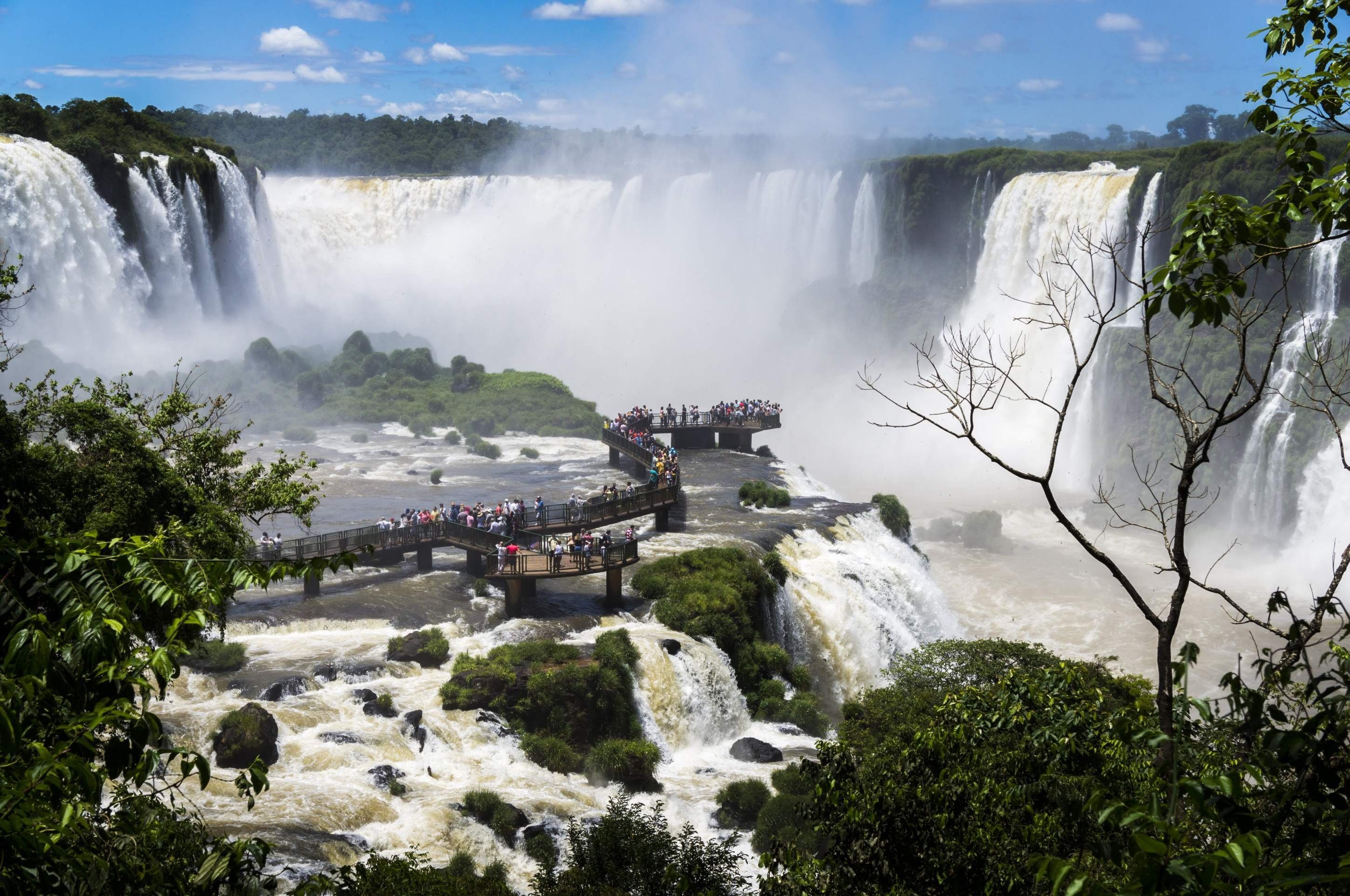 Áreas protegidas pela Unesco funcionam como refúgios da biodiversidade