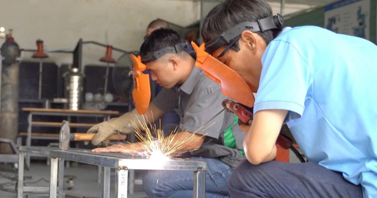 Hướng thí điểm tổ chức “đặc khu phát triển nhân lực”