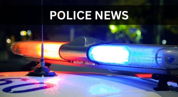 Stolen Car Chase Ends in Crash, Teen Faces Felony Counts