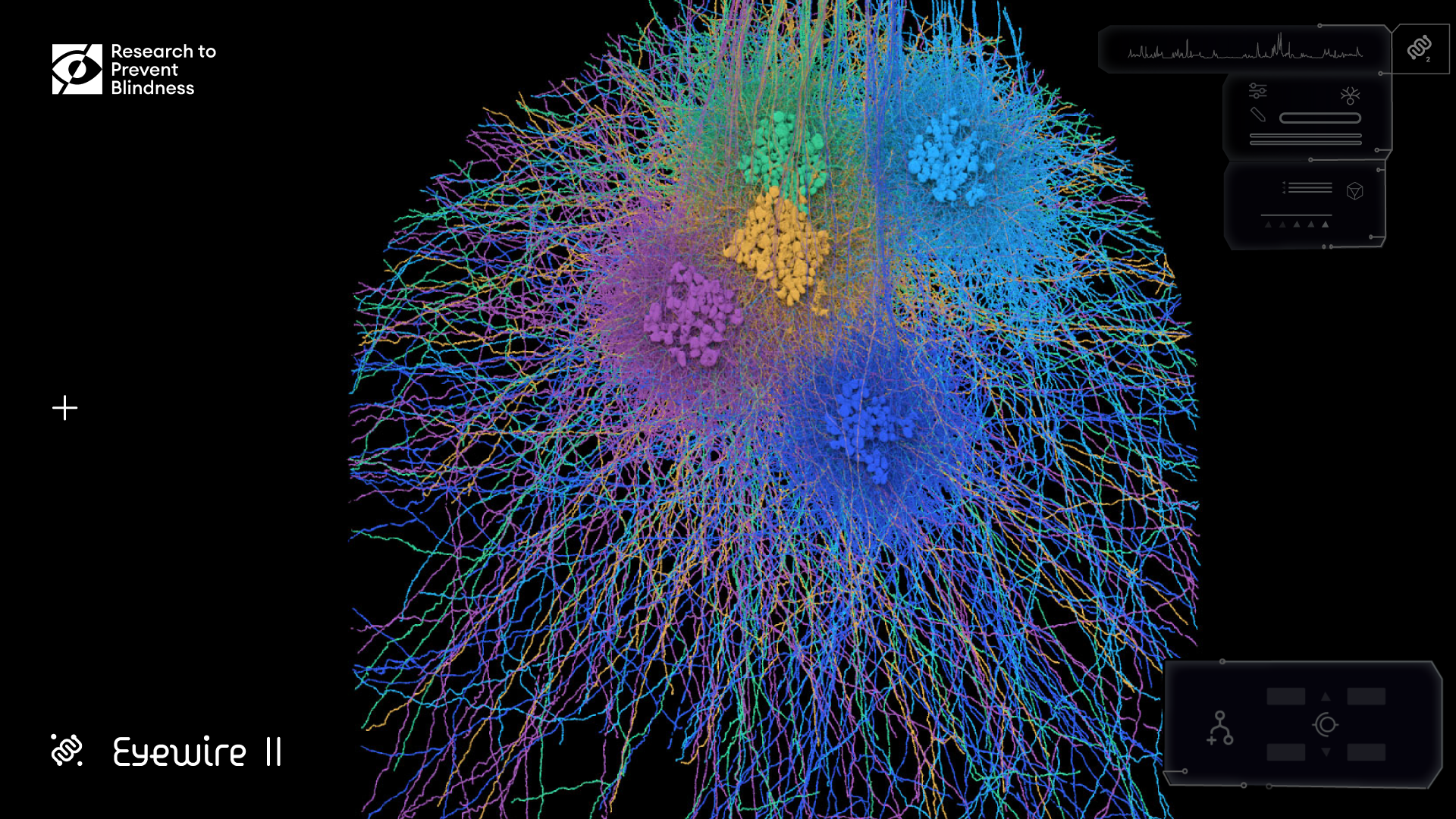Research to Prevent Blindness Award to Enable Transformational Scientific Milestone in Neuroscience and Vision Science