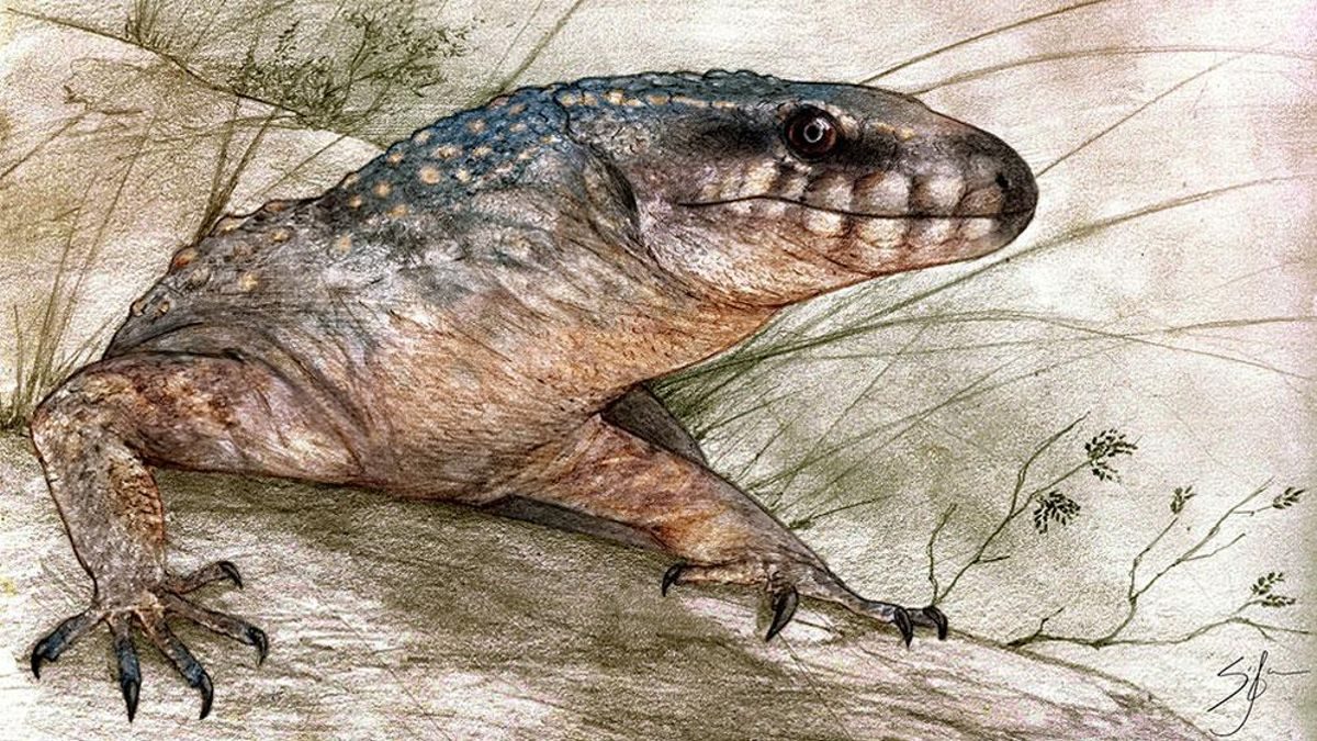 Científicos del CONICET hallan en la Patagonia un reptil de 70 millones de años y lo reconstruyen digitalmente