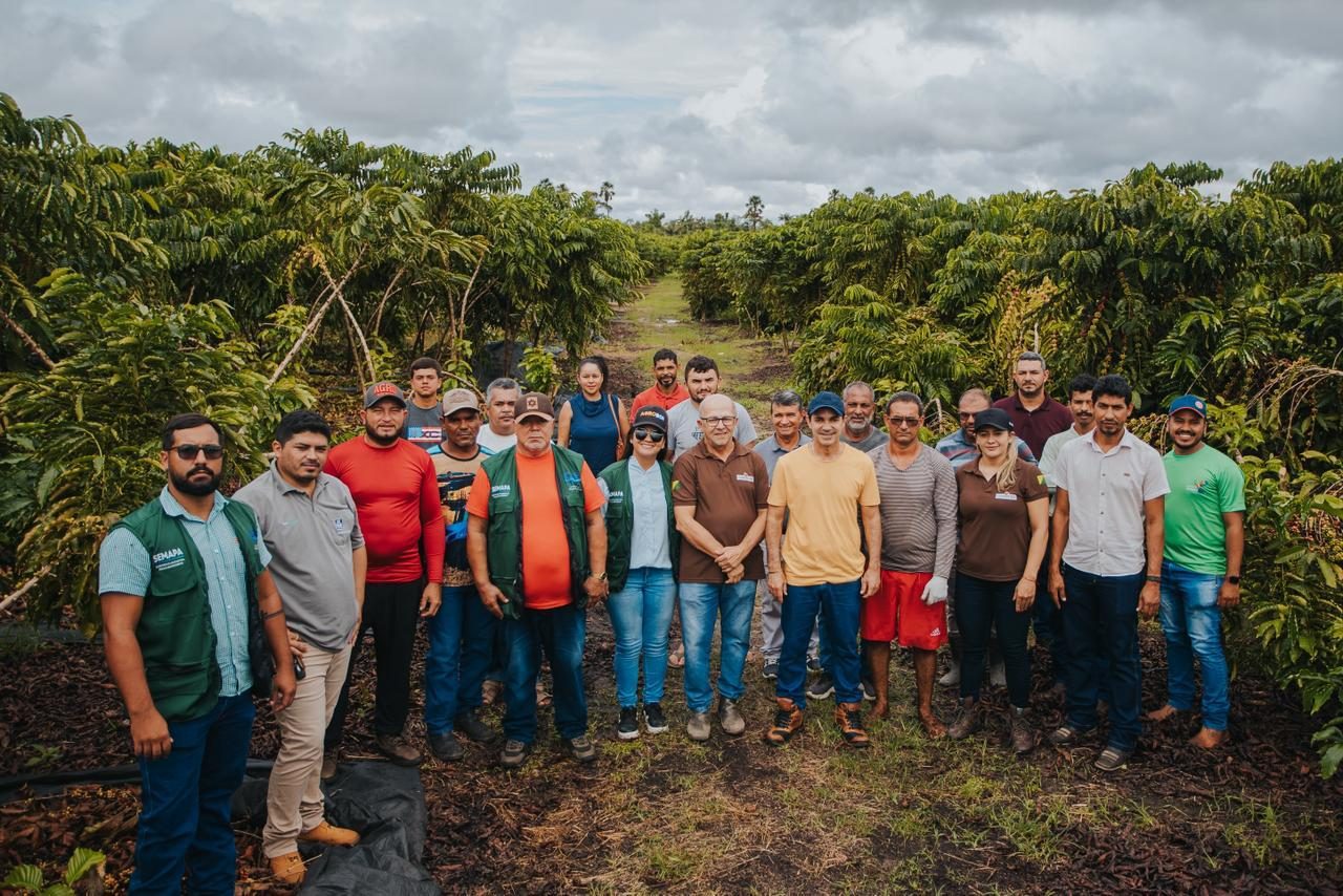 Prefeitura de Cruzeiro do Sul apoia colheita semimecanizada da 2a safra de café