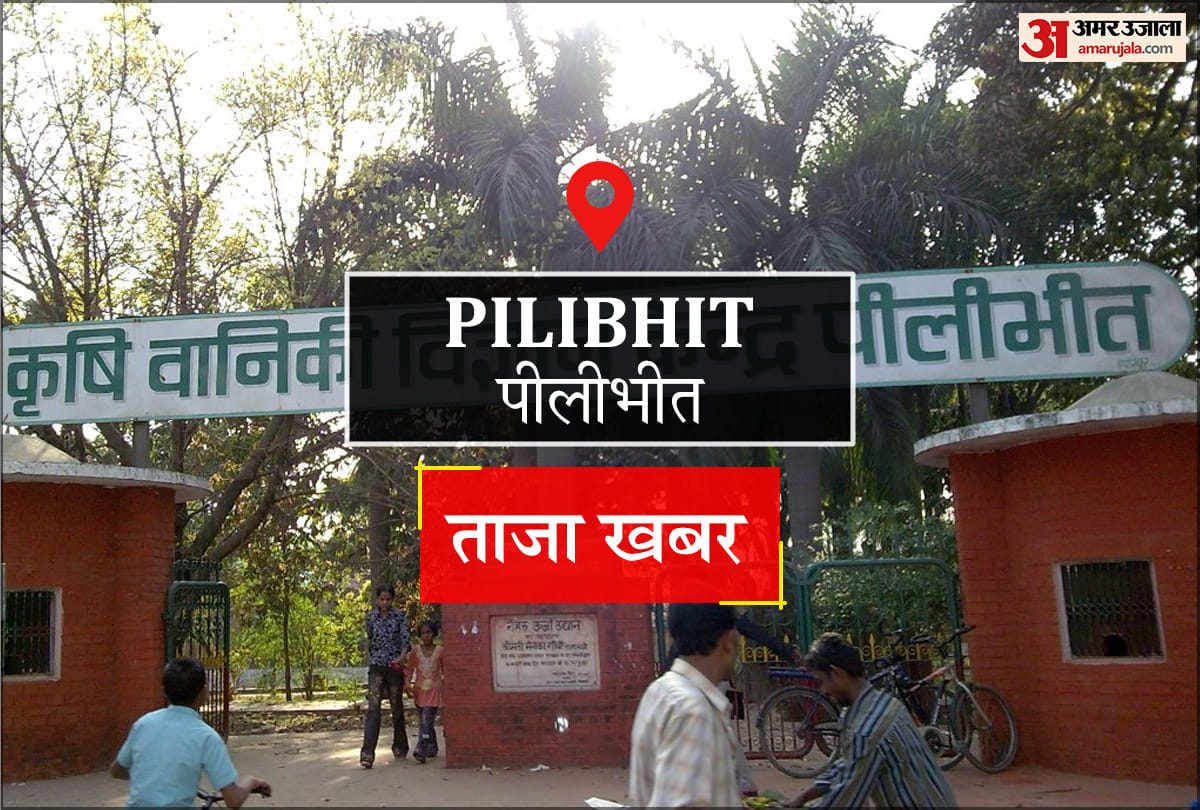 सीजफायर से खास राहत नहींं, दुबई के बजाय ओमान के बंदरगाह पर भेजना पड़ रहा चावल