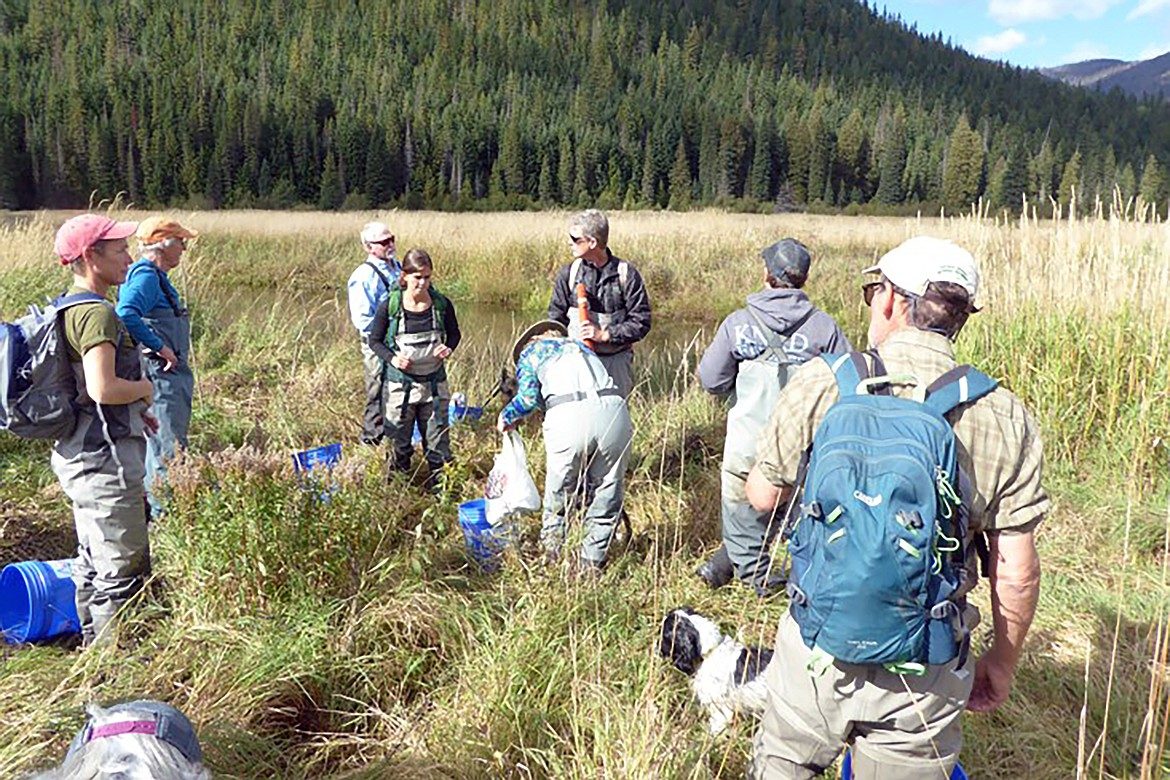 PROGRESS: Trout Unlimited dedicated to region's fisheries