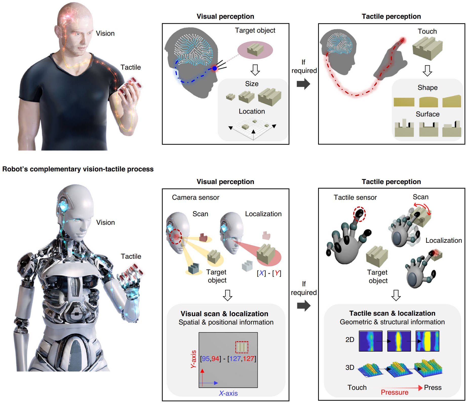 Robots Learn to Feel What Vision Misses