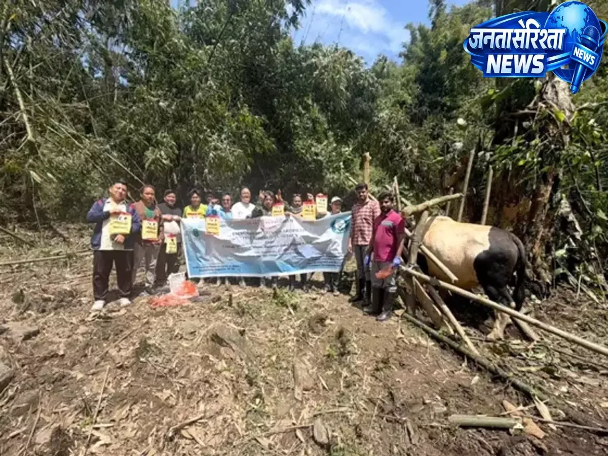 याकी तातो में मिथुन आर्टिफिशियल इनसेमिनेशन पर अवेयरनेस प्रोग्राम हुआ