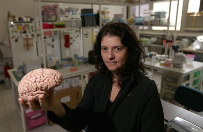 ‘Você não frita os neurônios nas telas, mas pode estar jogando sua vida pela janela’