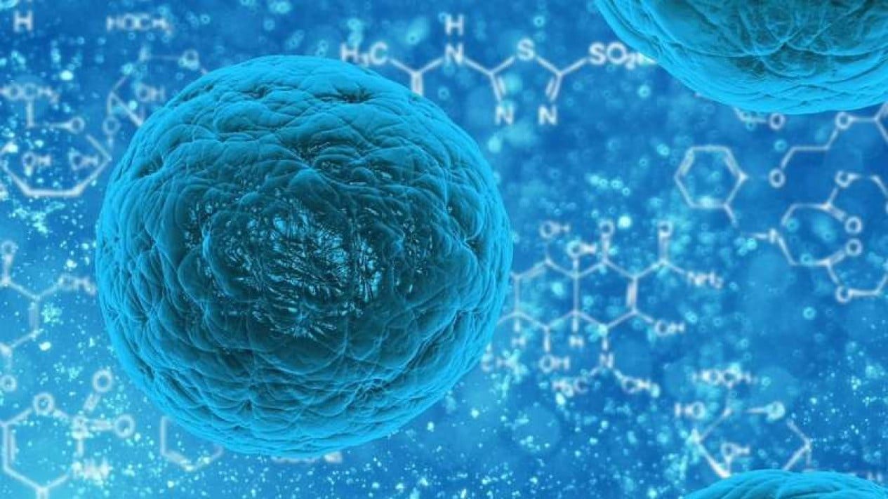 Benarkah Terapi Stem Cell Bisa Perbaiki Jaringan Tubuh yang Rusak? Ini Faktanya