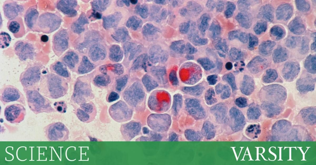 Research Roundup: Week One