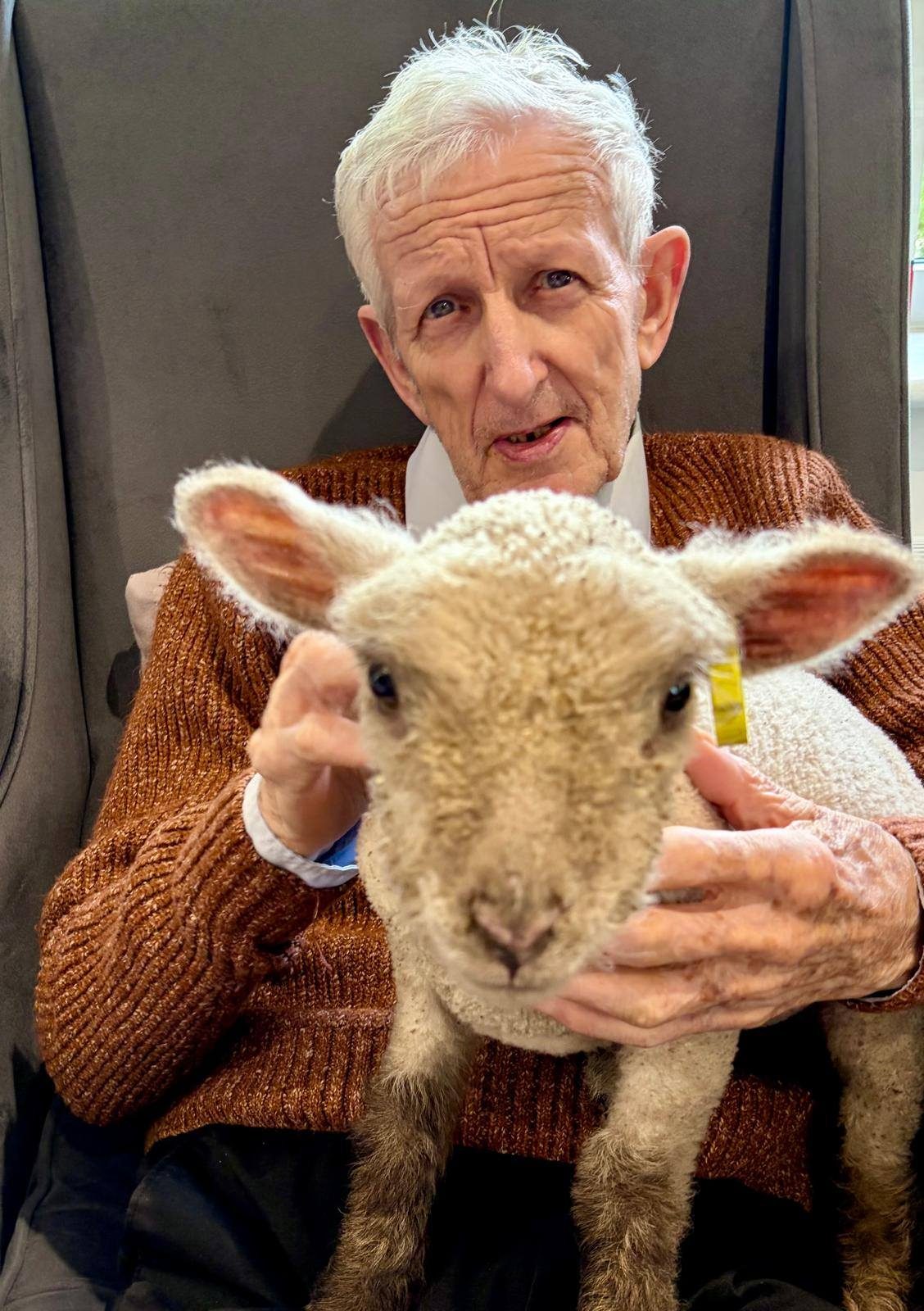Lamb brings 'animal mischief' to care home