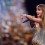 Taylor Swift, Bad Bunny Top Spotify's New, All-Time List