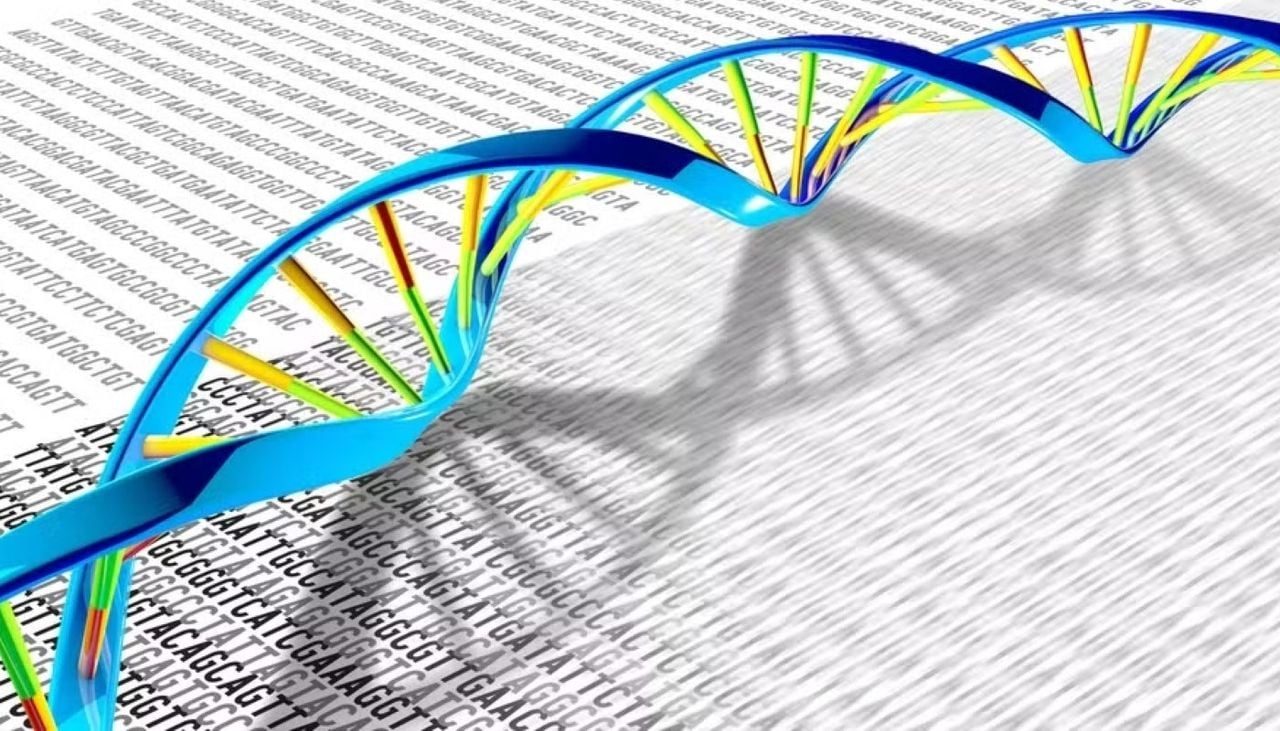 Estudo de genoma ancestral mostra aceleração surpreendente da evolução humana