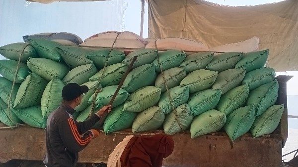 توريد 3 آلاف و990 طن قمح لصوامع وشون كفر الشيخ