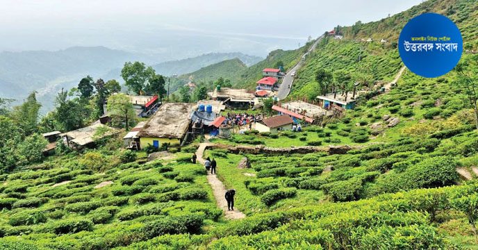 Hills Election | নিস্তব্ধ ভোট দার্জিলিং-কার্সিয়াংয়ে, পাহাড়ের মৌনতা কি কোনো বড় ঝড়ের পূর্বাভাস?
