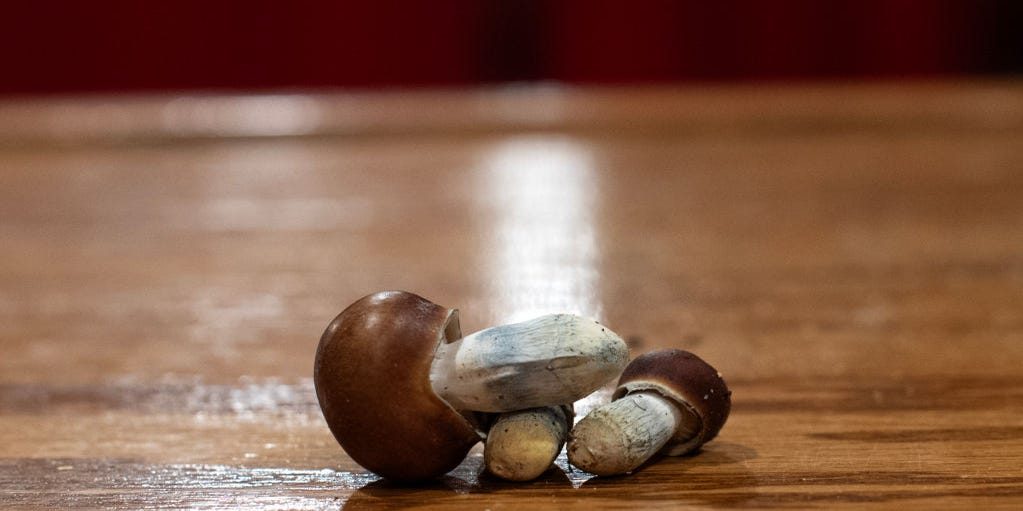 The FDA is psyched on psychedelics. Which ones will be studied and why?