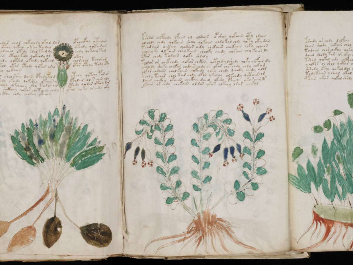 O livro que ninguém entende: como a IA tenta decifrar o misterioso Manuscrito Voynich do século XV