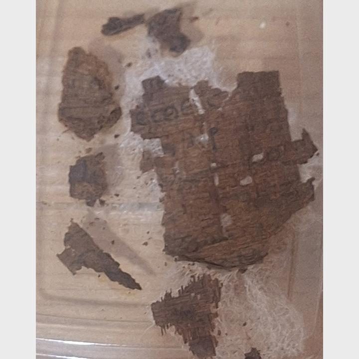 Dans le ventre d’une momie en Égypte, des chercheurs découvrent un extrait de l’« Iliade » d’Homère