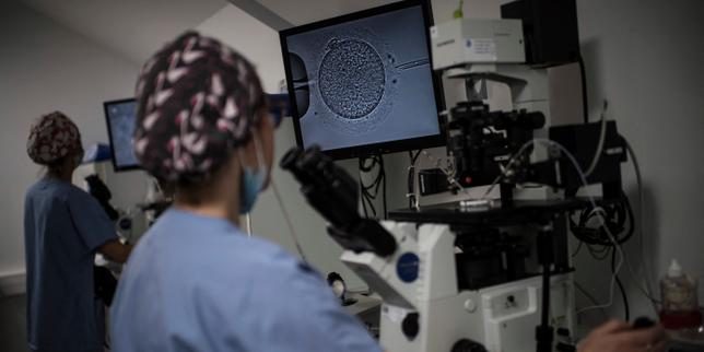 PMA : l’autorisation du diagnostic préimplantatoire des embryons en France de nouveau interrogée