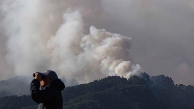 Kebakaran Hutan di Jepang Utara Meluas, 1.400 Petugas Pemadam Dikerahkan
