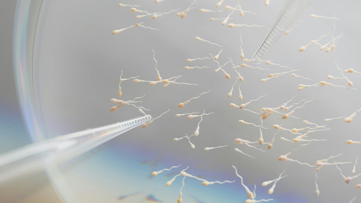 Une start-up affirme avoir créé des spermatozoïdes humains en laboratoire, une révolution