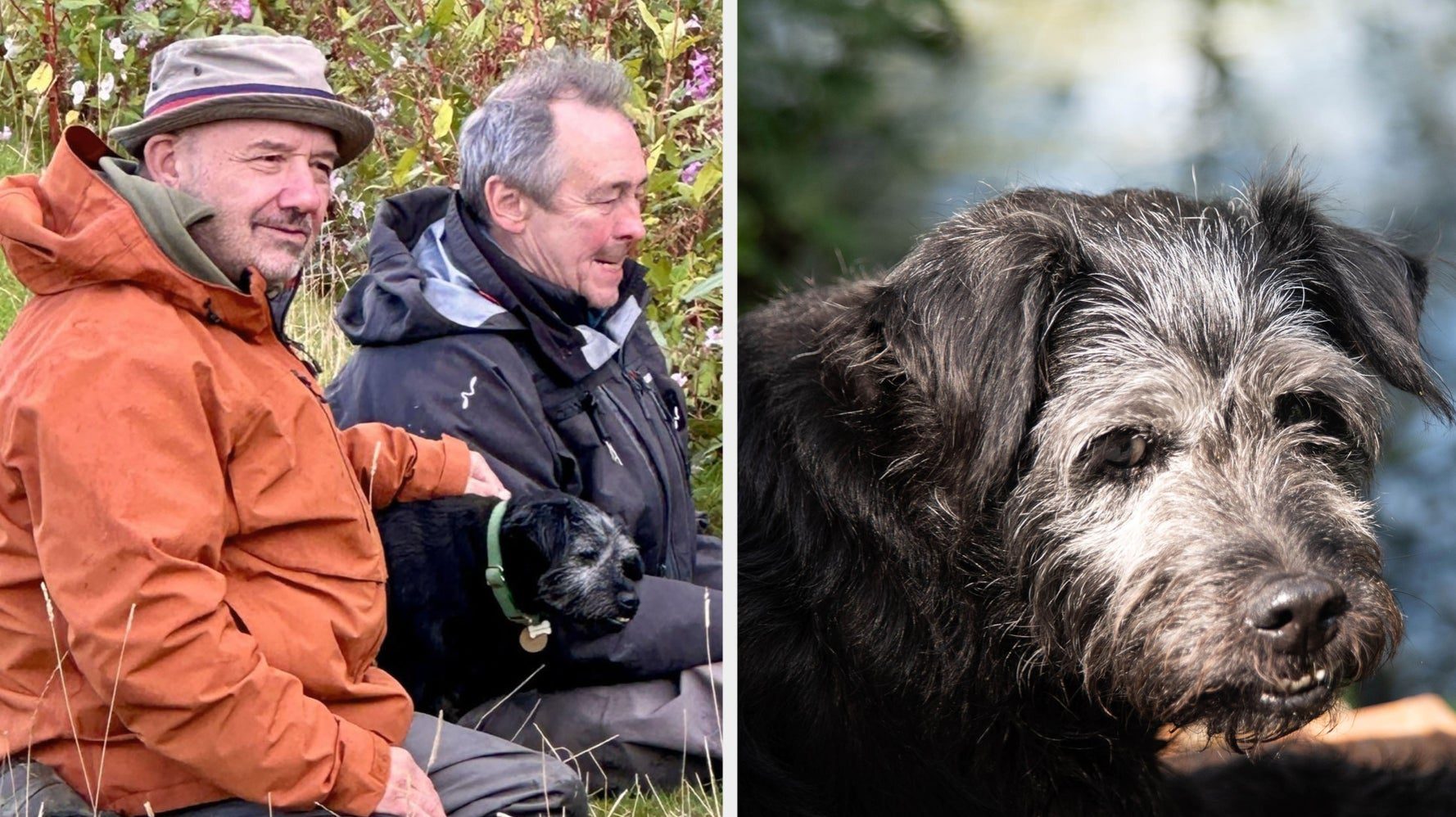 Bob Mortimer And Paul Whitehouse Pay Tribute To Gone Fishing Dog, Ted