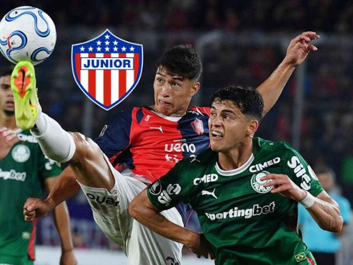 Así quedó Junior en su grupo de Copa Libertadores tras empate entre Palmeiras y Cerro Porteño