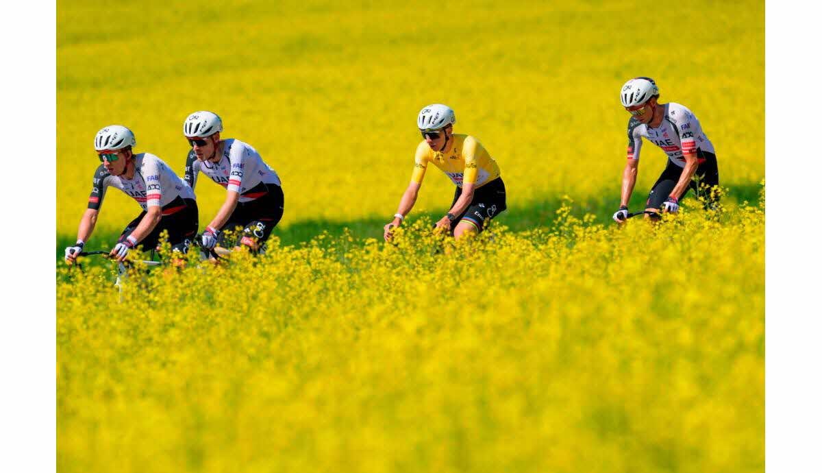 Cyclisme. Tour de Romandie : nouvelle victoire pour Pogacar devant Godon