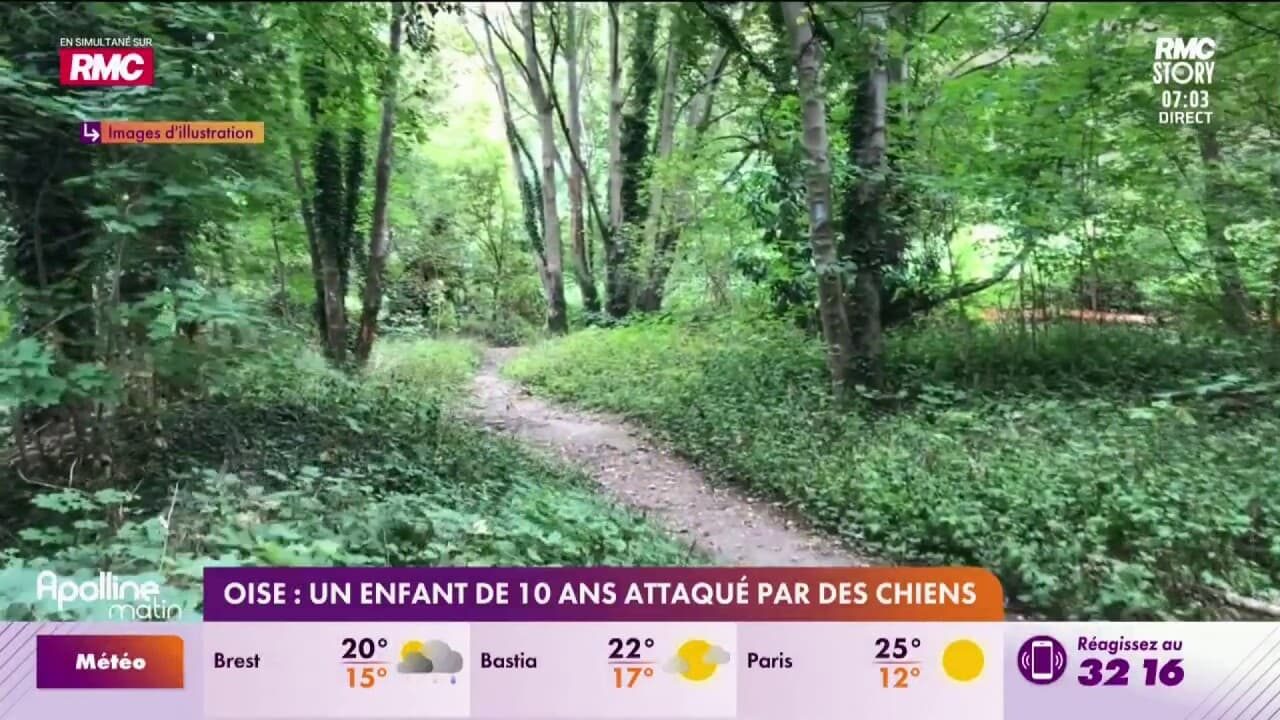 Oise : un enfant de 10 ans attaqué par des chiens